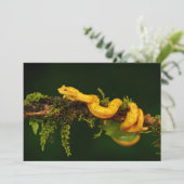 Carte Serpent Viper Poison du Costa Rica (Debout devant)