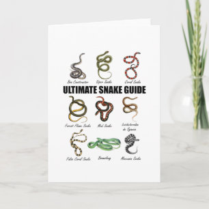 Carte Serpents Enfants Éducatif Serpent Zoologiste Repti