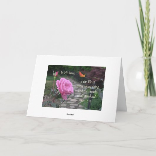 Carte Ses rappels (Dos)