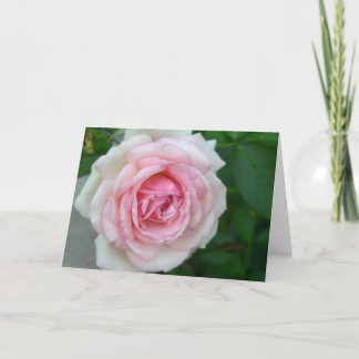 Carte S'est levé (rose - > gradient blanc)