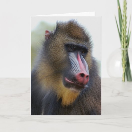 Carte Seul homme (Devant)