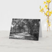 Carte Shade 'nev Spanish Moss (Fleur jaune)