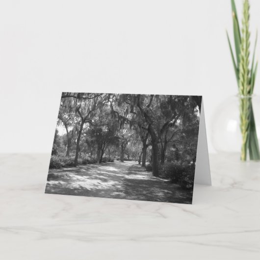 Carte Shade 'nev Spanish Moss (Devant)