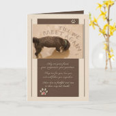 Carte Shades of Brown Pet Sympathy (Fleur jaune)