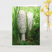 Carte Shaggy Ink Cap (Fleur jaune)