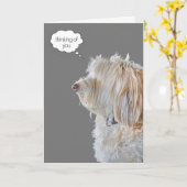 Carte Shaggy Poodle Portrait Penser à vous (Fleur jaune)