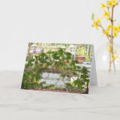 Carte Shamrocks de floraison (Fleur jaune)