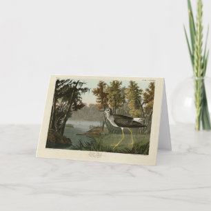 Carte Shank jaune d'Audubon's Birds of America