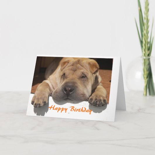 Carte Shar Pei Birthday (Devant)
