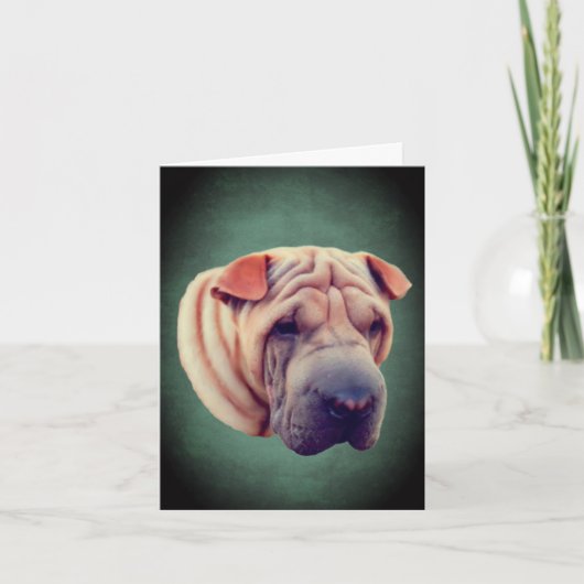 Carte Shar Pei Dog (Devant)