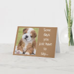 CARTE SHAR PEI IS A COMEDIAN FOR YOUR BIRTHDAY<br><div class="desc">IL S'AGIT DE SO CUTE AND HE LOOKS VERY UPSET BUT HE REALLY ISN'T!!!  THANKS FOR STOPPING BY ONE OF MY EIGHT STORES!!!!!!!</div>