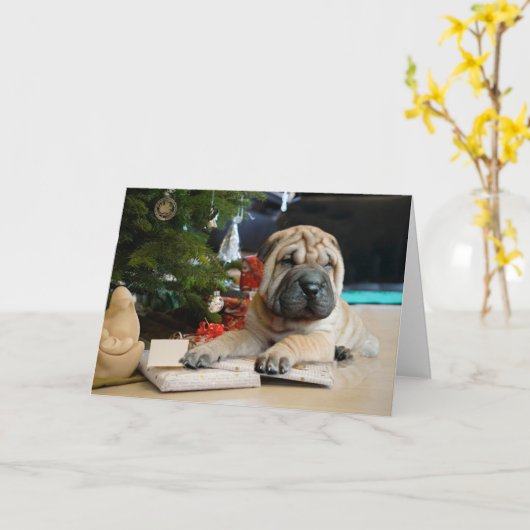 Carte Shar Pei Noël (Fleur jaune)