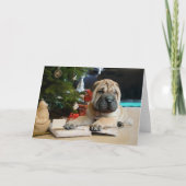 Carte Shar Pei Noël (Devant)