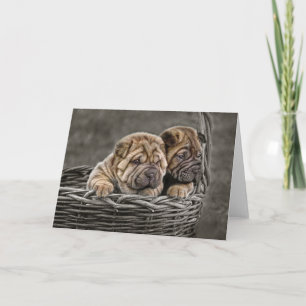 Carte Shar-Pei Pups