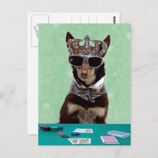 Carte Shark King (Devant / Derrière)