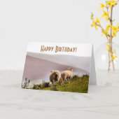 CARTE SHEEP (Fleur jaune)