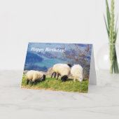 CARTE SHEEP (Devant)