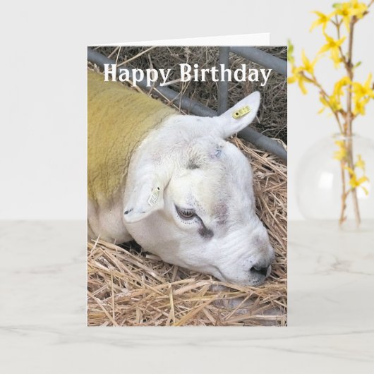 CARTE SHEEP (Fleur jaune)