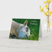 CARTE SHEEP (Fleur jaune)