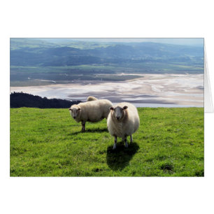 CARTE SHEEP DE MONTAGNE BIEN-ÊTRE