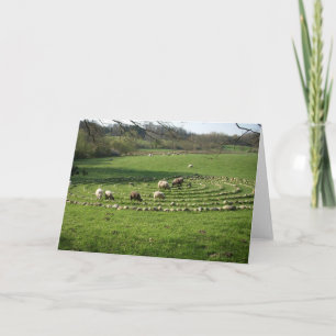 Carte Sheep Grazing a Labyrinth