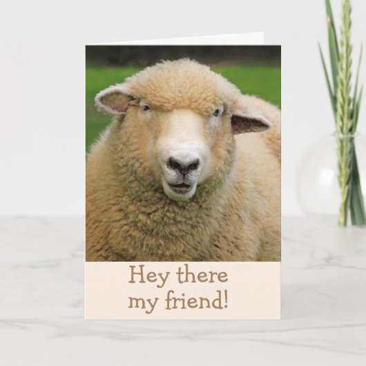 Carte Sheep Joke Classic Humour Se Bien (Devant)