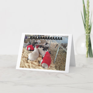 CARTE SHEEP LE DIT DANS LEUR "PROPRE MOYEN" JOLI ANNIVER