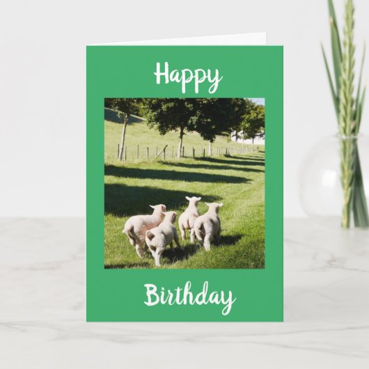CARTE SHEEP ON THE FUN DIT **HEUREUX ANNIVERSAIRE" (Devant)