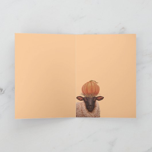 Carte Sheila (Intérieur)