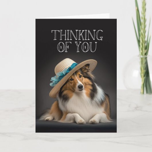 Carte Sheltie qui pense à vous (Devant)