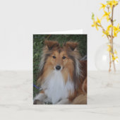 Carte Sheltie Sheepdog (Fleur jaune)