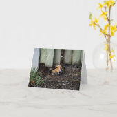 Carte Sheltie Shetland Sheepdog Funny (Fleur jaune)