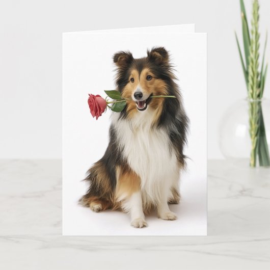 Carte Sheltie Valentine – Cœur Doux, Amour Véritable (Devant)