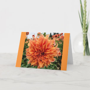 Carte Sherwood's Peach Dahlia