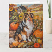 Carte Shetland Sheepdog Automne Harvest Thankgiving (Devant)