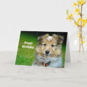Carte Shetland Sheepdog Cute Photo Anniversaire (Fleur jaune)