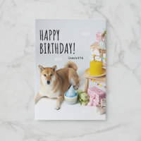 🐶 Shiba Inu Bliss 🐶 votre Marche à voile Anniver