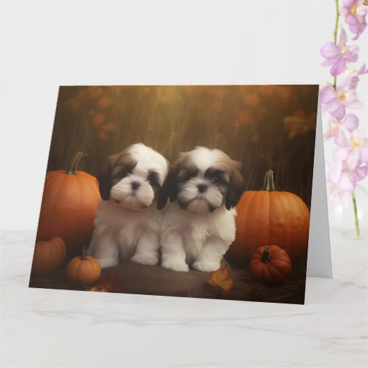 Carte Shih Tzu chiot Automne Délice Citrouille (Orchidée)