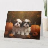 Carte Shih Tzu chiot Automne Délice Citrouille (Devant)
