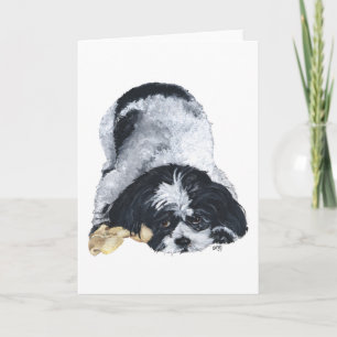 Carte Shih Tzu joueur