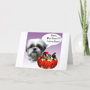 Carte Shih Tzu (naturel) Halloween Candy