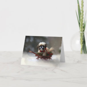 Carte Shih Tzu Noël neige hiver