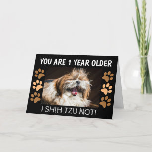 Carte Shih tzu pas drôle d'anniversaire 1 an de plus Sal