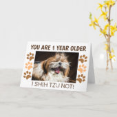 Carte Shih tzu pas drôle d'anniversaire 1 an de plus Sal (Fleur jaune)