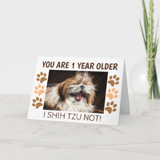 Carte Shih tzu pas drôle d'anniversaire 1 an de plus Sal (Devant)
