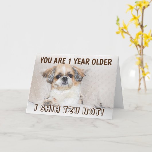 Carte Shih tzu pas mignon anniversaire 1 an plus de salu (Fleur jaune)