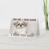 Carte Shih tzu pas mignon anniversaire 1 an plus de salu (Devant)