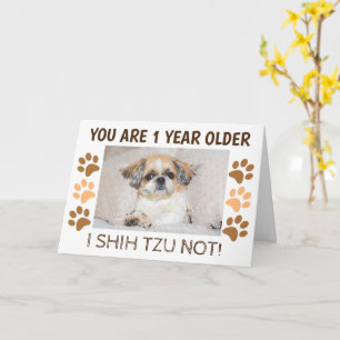 Carte Shih tzu pas mignon anniversaire 1 an plus de salu