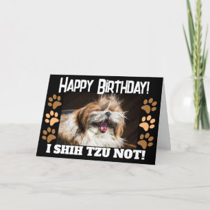 Carte Shih tzu pas rire amusant Joyeux anniversaire Salu