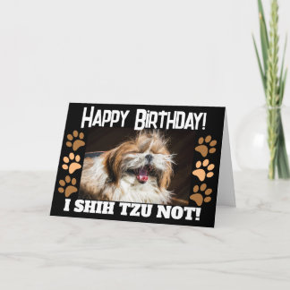 Carte Shih tzu pas rire amusant Joyeux anniversaire Salu